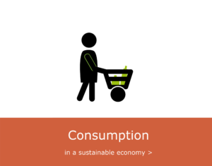 Consumption in a sustainable economy