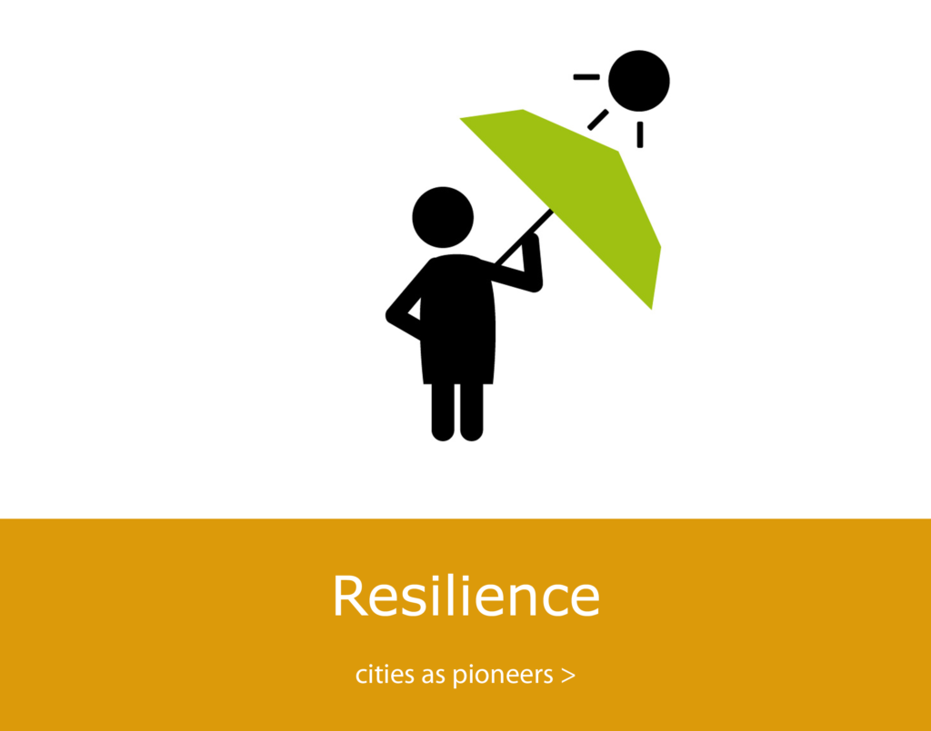 Resilient cities and their infrastructures as pioneers of change